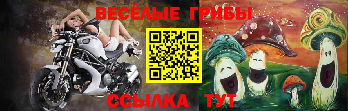 Реутов  Псилоцибиновые грибы ЛСД  Вход с VPN 